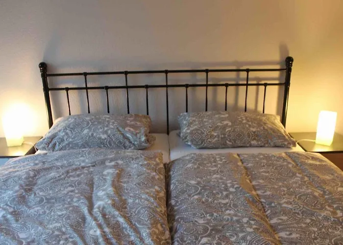 公寓 Roggenbach - *